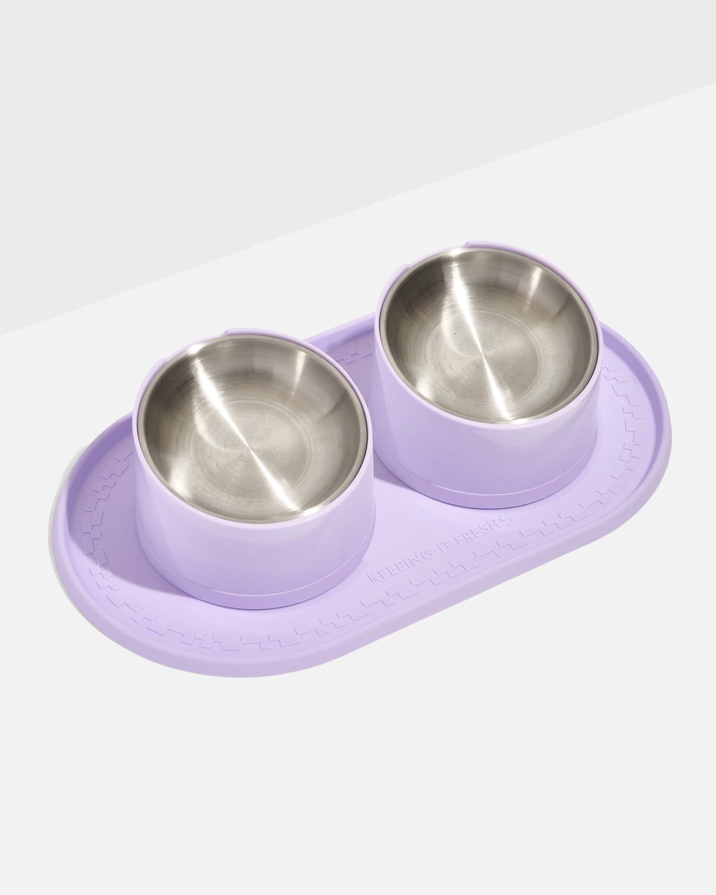 Cat Meal Kit
