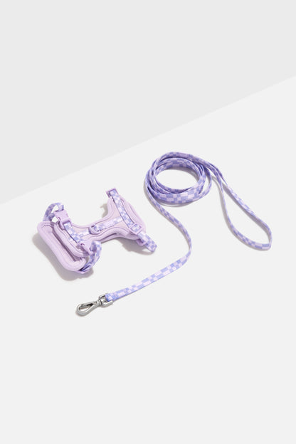 Lilac | Kitten Size