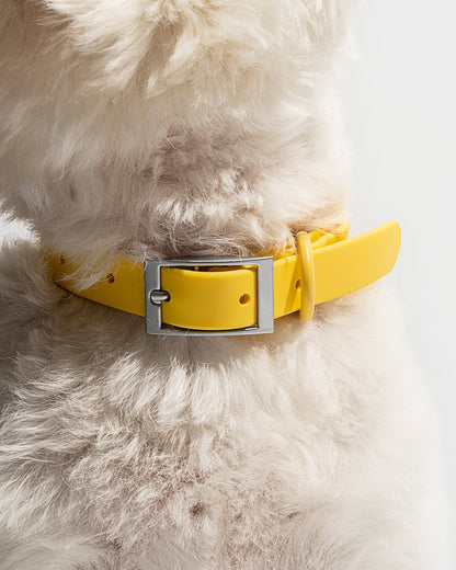Butter